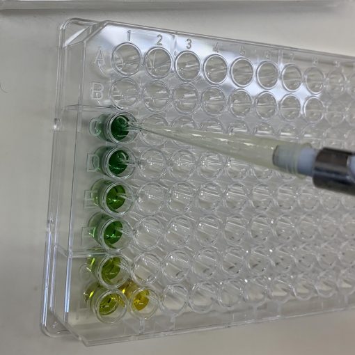 Reagent plate