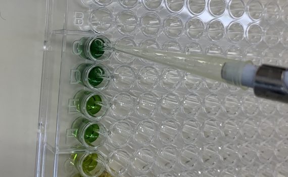 Reagent plate